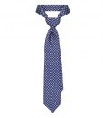 Blue Dotted Silk Tie
