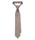 Brwon/Gold Pastel Silk Tie
